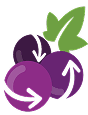 Fruzty